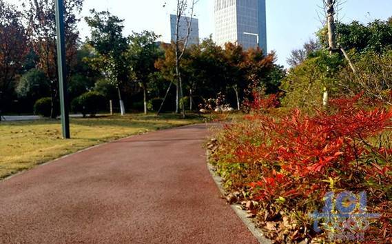 樹素材