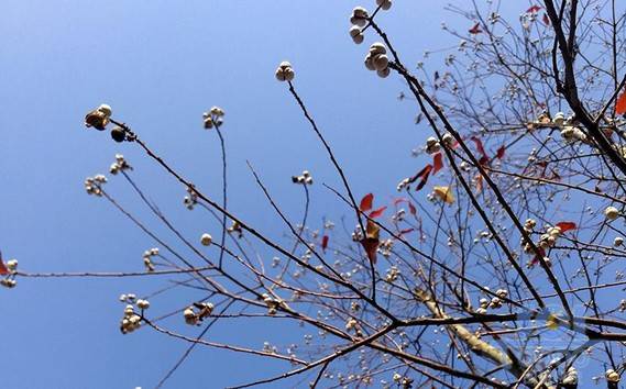 藍天素材