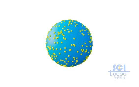 表面分布不规则纳米颗粒的纳米球