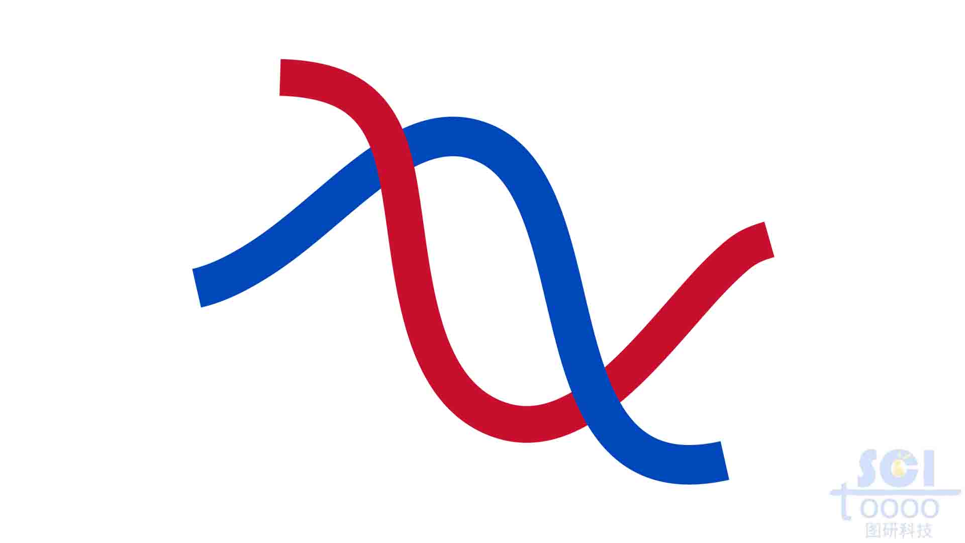 S型DNA