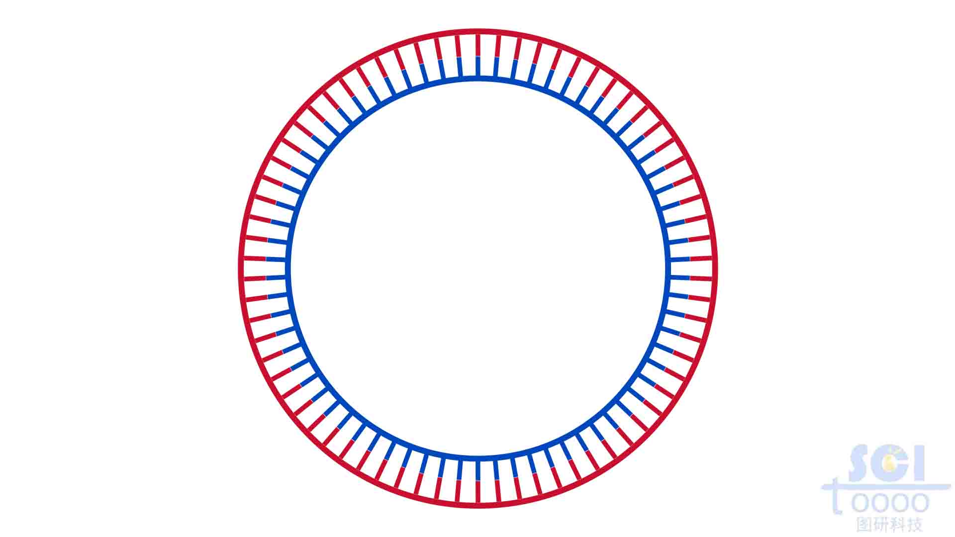 环状DNA