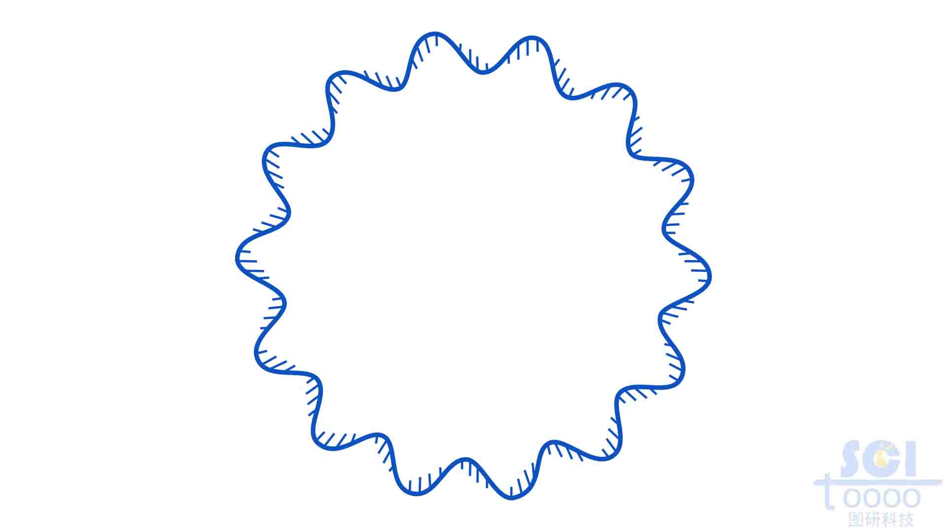 环状DNA