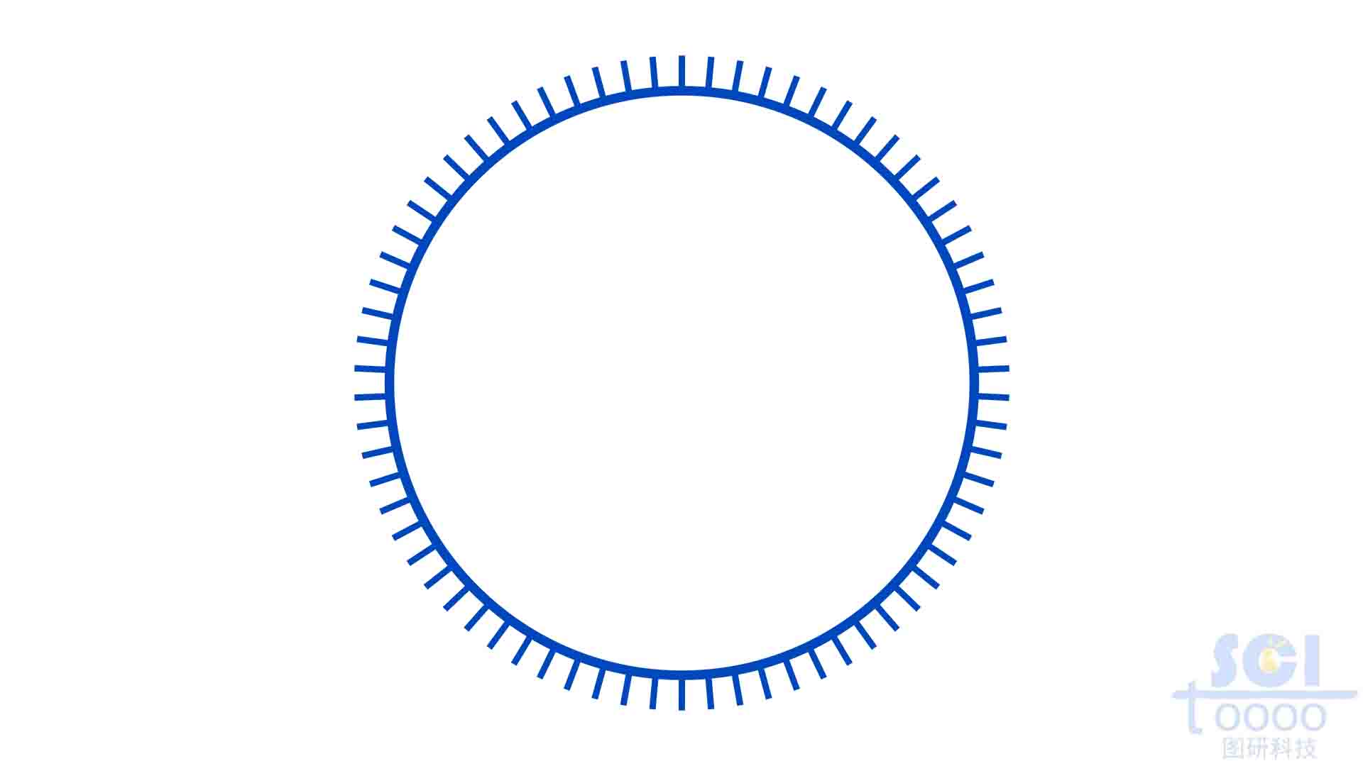 环状DNA