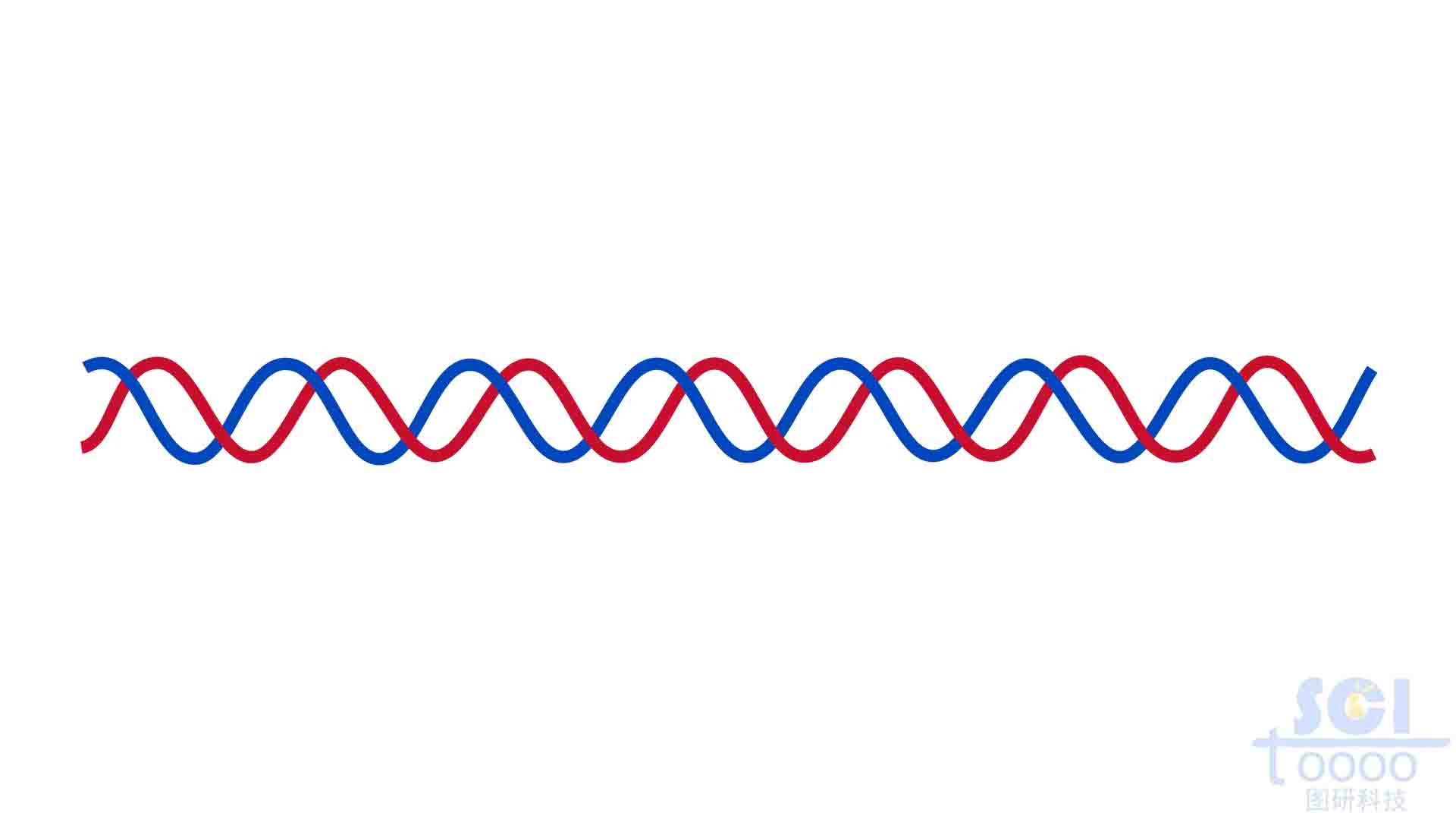 双螺旋DNA