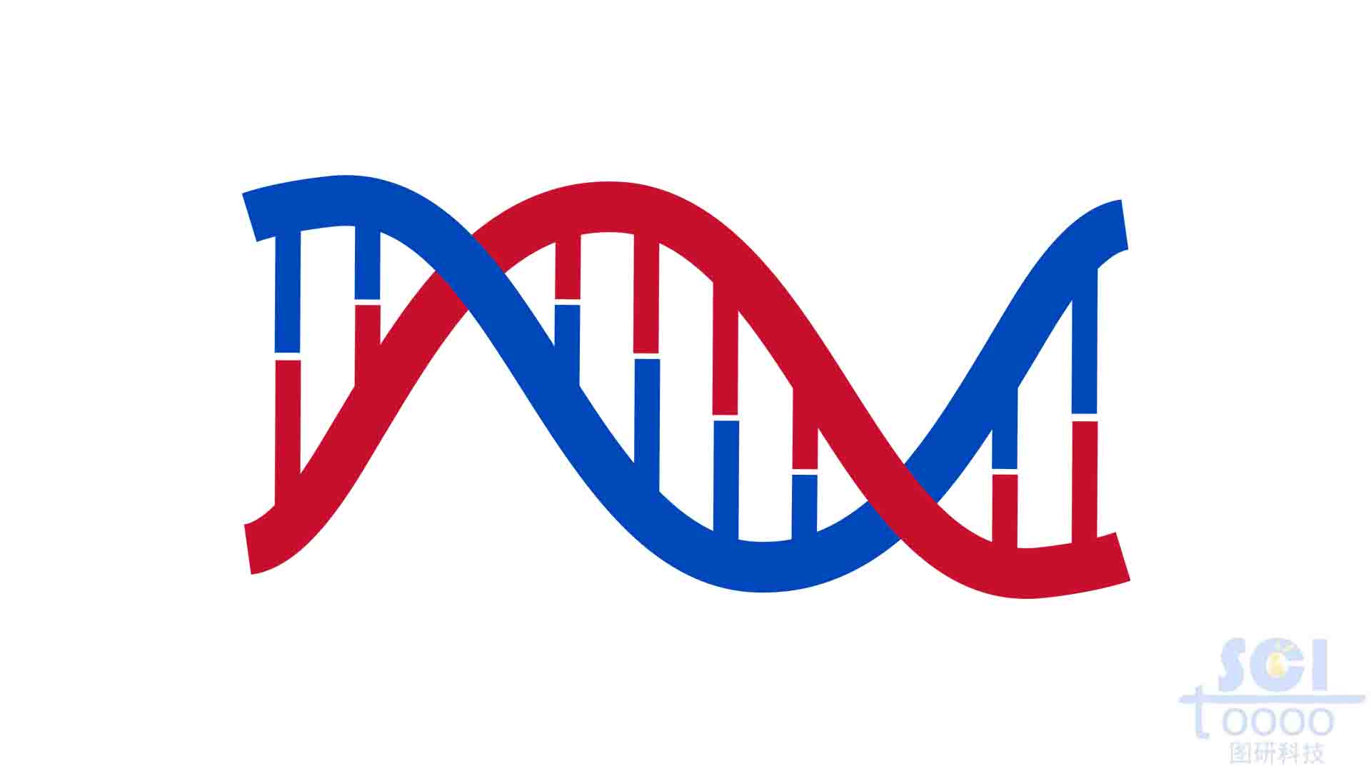 双螺旋DNA
