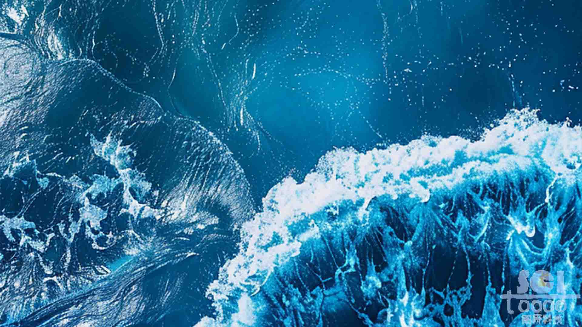 海洋素材
