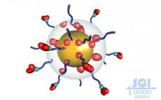 透明膜包裹的金纳米球和染料分子外表层带高分子链段修饰