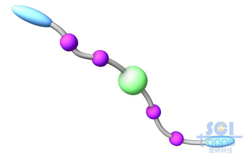 小分子链段模式图