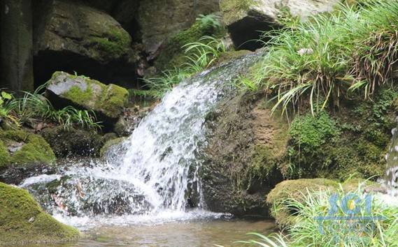 水素材