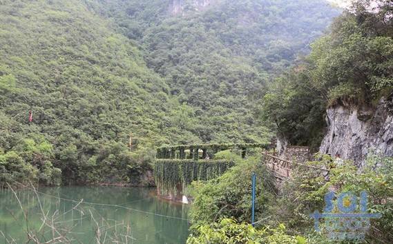 水素材