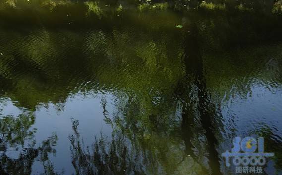 水素材