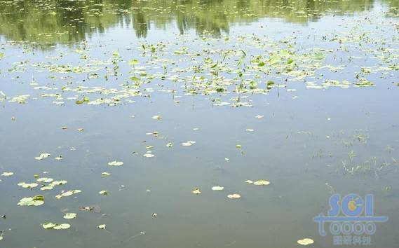 水素材