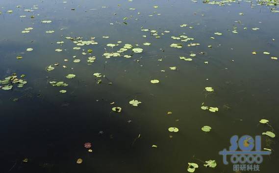 水素材