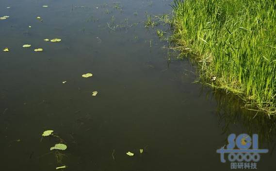 水素材