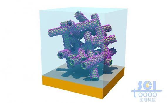 金基底板上的碳纳米管堆积生长形成错落的碳纳米管骨架结构