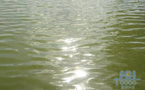 水素材