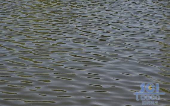 水素材