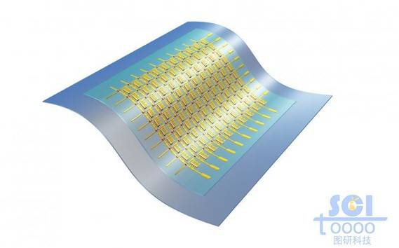 柔性电极阵列
