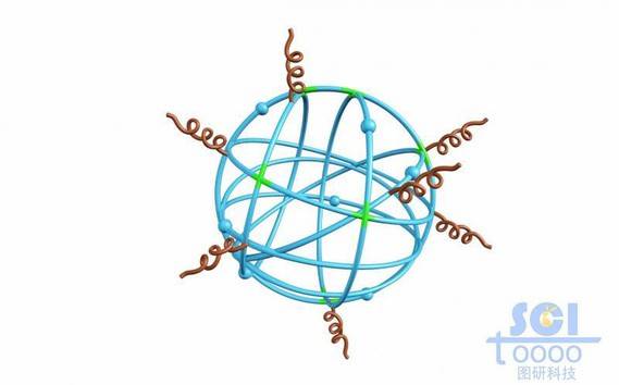 高分子链段交联缠绕形成的笼状结构
