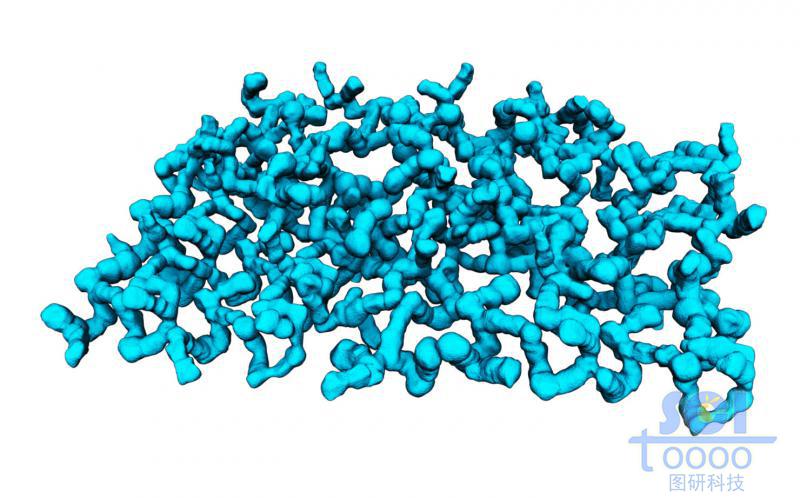 珊瑚状高分子聚合物形成的网状结构