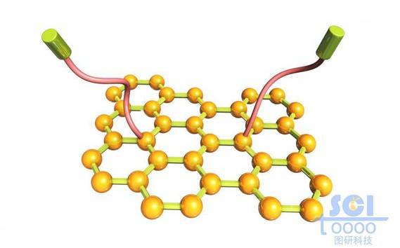 石墨烯与表面分子基团