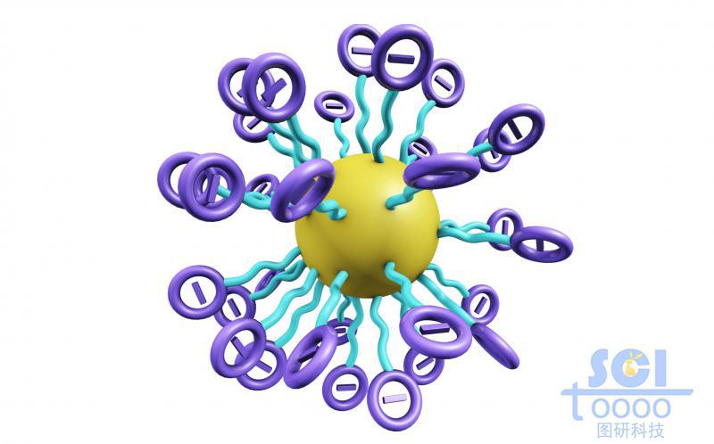 带负电荷的高分子链围绕油滴放射状团聚成球