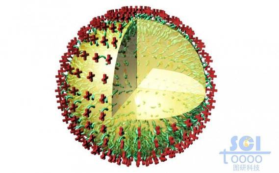 内部液体填充表面附着均匀的带+电荷的高分子链段的纳米球