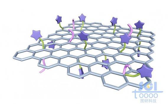 负载小分子基团和分子链段的石墨烯片