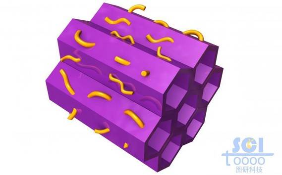 镶嵌高分子链端的六边形中空管道