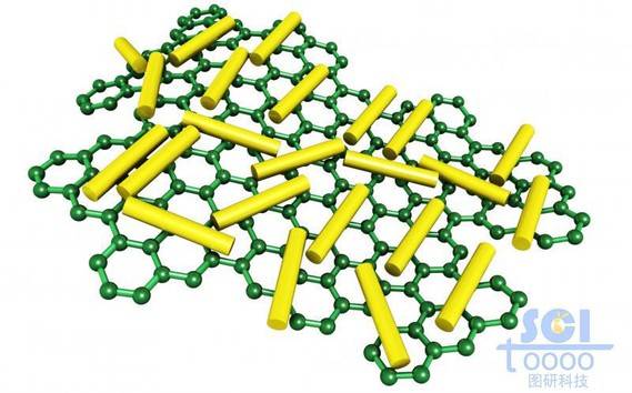 表面有纳米线的go石墨烯片