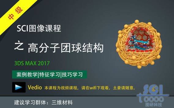 高分子团球结构