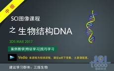 生物结构DNA