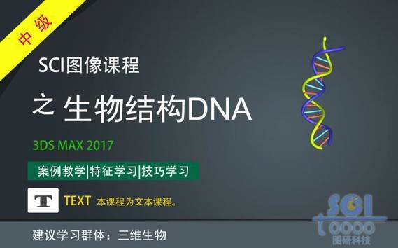 生物结构DNA