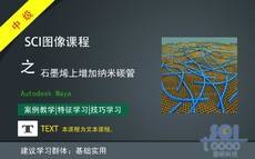 在起伏的地形上增加不规则的线段起伏石墨烯上付着的碳纳米管