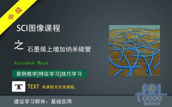 在起伏的地形上增加不规则的线段起伏石墨烯上付着的碳纳米管